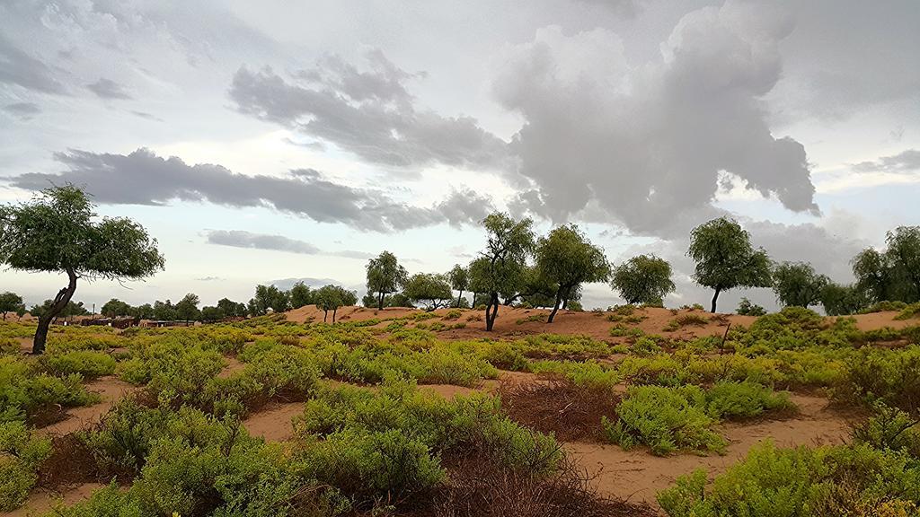 Al Reem Desert Camp Jalan Bani Buhassan Buitenkant foto