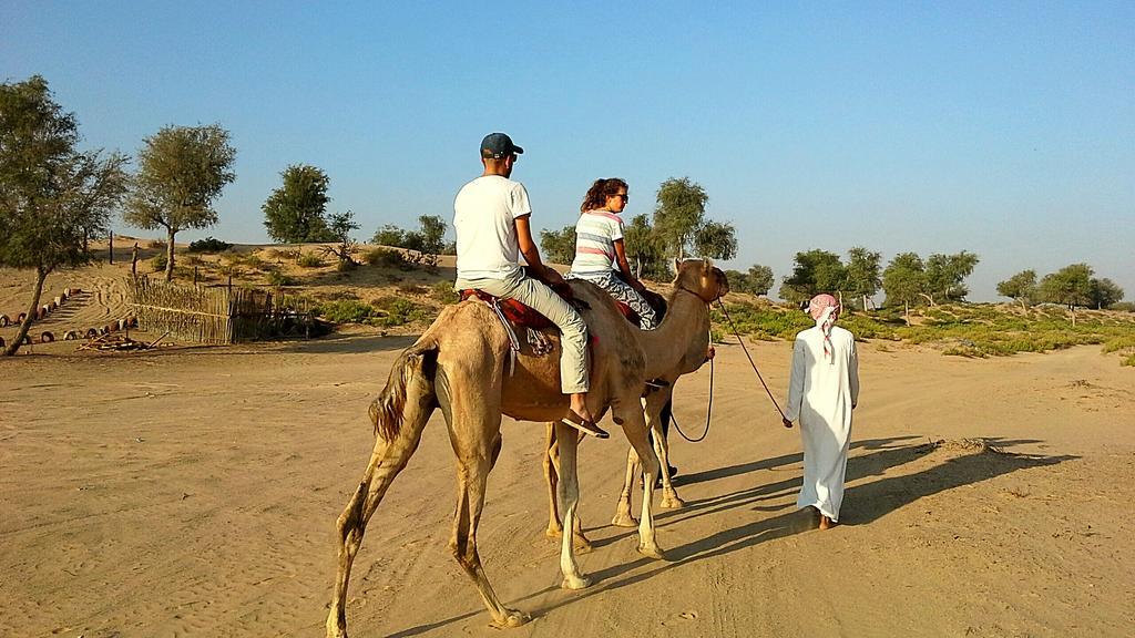 Al Reem Desert Camp Jalan Bani Buhassan Buitenkant foto